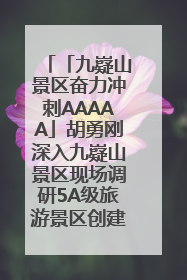 「九嶷山景区奋力冲刺AAAAA」胡勇刚深入九嶷山景区现场调研5A级旅游景区创建工作