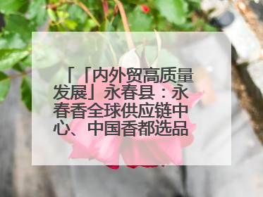 「内外贸高质量发展」永春县：永春香全球供应链中心、中国香都选品中心相继运营——一根香“点燃”百亿产业