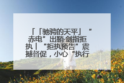 「驰骋的天平」“赤电”出鞘·剑指拒执︱“拒执预告”震撼督促，小心“执行”变“执刑”