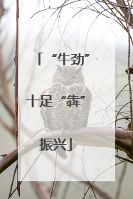“牛劲”十足“犇”振兴