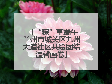 “粽”享端午 兰州市城关区九州大道社区共绘团结温馨画卷