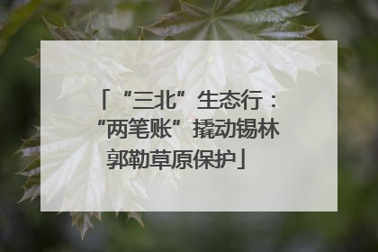 “三北”生态行：“两笔账”撬动锡林郭勒草原保护