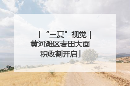 “三夏”视觉｜黄河滩区麦田大面积收割开启