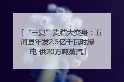 “三夏”麦秸大变身：五河县年发2.5亿千瓦时绿电 供20万吨蒸汽