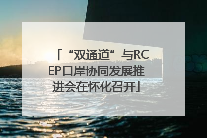 “双通道”与RCEP口岸协同发展推进会在怀化召开