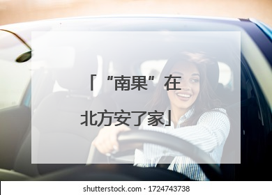 “南果”在北方安了家