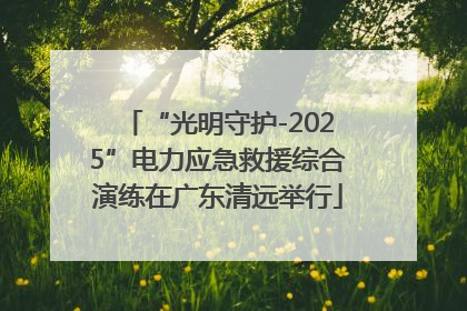 “光明守护-2025”电力应急救援综合演练在广东清远举行