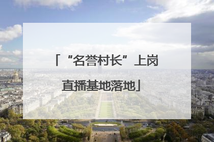 “名誉村长”上岗 直播基地落地