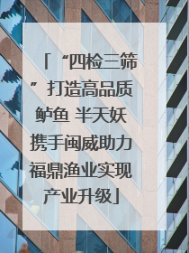 “四检三筛”打造高品质鲈鱼 半天妖携手闽威助力福鼎渔业实现产业升级