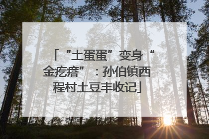 “土蛋蛋”变身“金疙瘩”：孙伯镇西程村土豆丰收记