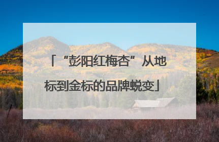 “彭阳红梅杏”从地标到金标的品牌蜕变
