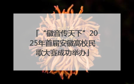 “徽音传天下”2025年首届安徽高校民歌大赛成功举办