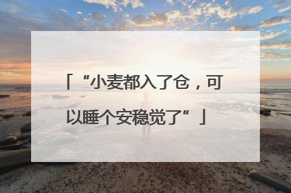 “小麦都入了仓，可以睡个安稳觉了”