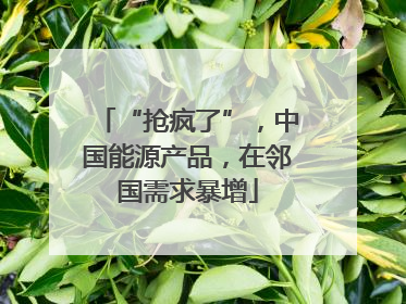 “抢疯了”，中国能源产品，在邻国需求暴增