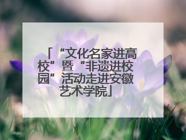 “文化名家进高校”暨“非遗进校园”活动走进安徽艺术学院