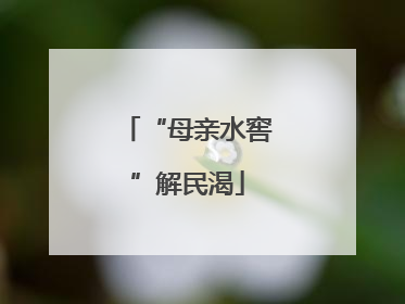 “母亲水窖”解民渴
