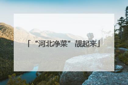 “河北净菜”靓起来