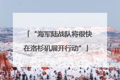 “海军陆战队将很快在洛杉矶展开行动”