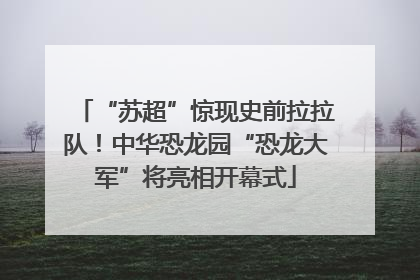 “苏超”惊现史前拉拉队！中华恐龙园“恐龙大军”将亮相开幕式