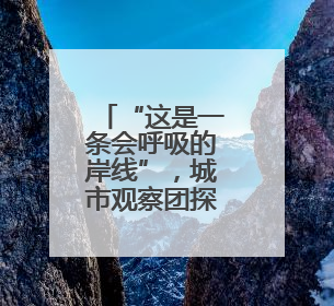 “这是一条会呼吸的岸线”，城市观察团探访百里长江生态廊道青山段