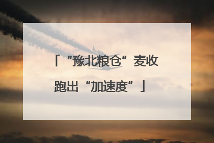 “豫北粮仓”麦收跑出“加速度”