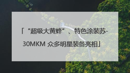 “超级大黄蜂”、特色涂装苏-30MKM 众多明星装备亮相