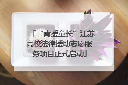 “青援童长”江苏高校法律援助志愿服务项目正式启动