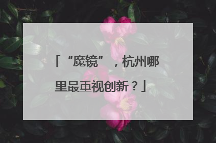 “魔镜”，杭州哪里最重视创新？