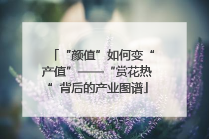 “颜值”如何变“产值”——“赏花热”背后的产业图谱