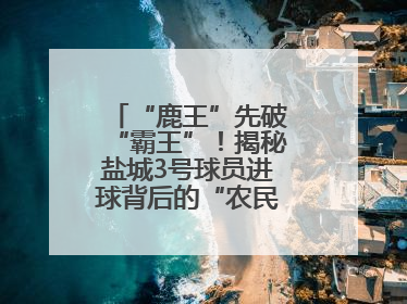 “鹿王”先破“霸王”！揭秘盐城3号球员进球背后的“农民街游侠”联盟