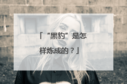 “黑豹”是怎样炼成的？