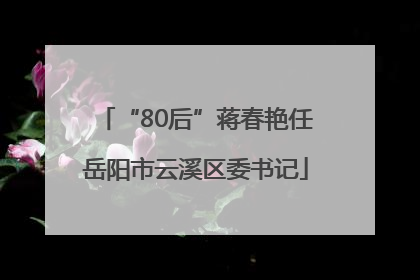 “80后”蒋春艳任岳阳市云溪区委书记