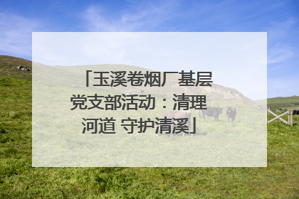 玉溪卷烟厂基层党支部活动：清理河道 守护清溪