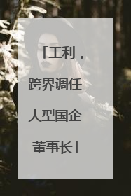 王利，跨界调任大型国企董事长