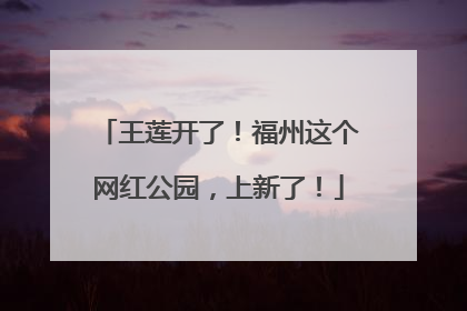 王莲开了！福州这个网红公园，上新了！