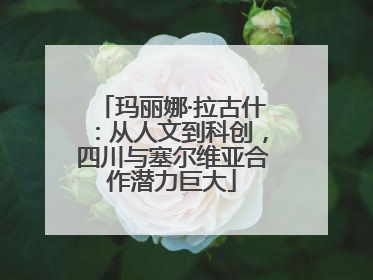 玛丽娜·拉古什：从人文到科创，四川与塞尔维亚合作潜力巨大