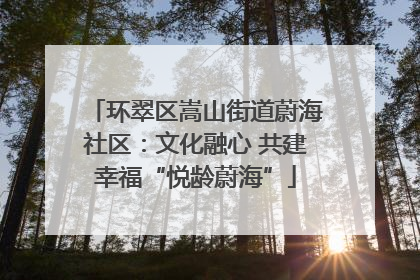 环翠区嵩山街道蔚海社区：文化融心 共建幸福“悦龄蔚海”