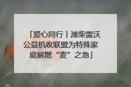 爱心同行丨潍柴雷沃公益机收联盟为特殊家庭解燃“麦”之急