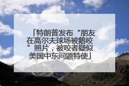 特朗普发布“朋友在高尔夫球场被鹅咬”照片，被咬者疑似美国中东问题特使