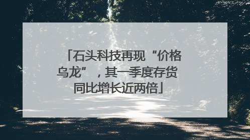 石头科技再现“价格乌龙”，其一季度存货同比增长近两倍