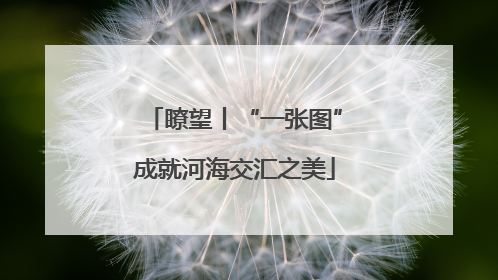 瞭望丨“一张图”成就河海交汇之美