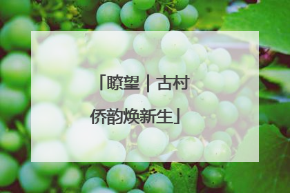 瞭望｜古村侨韵焕新生