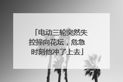 电动三轮突然失控撞向花坛，危急时刻他冲了上去