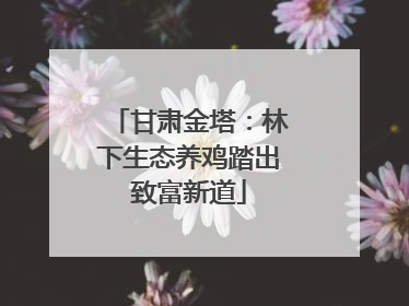 甘肃金塔：林下生态养鸡踏出致富新道