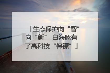 生态保护向“智”向“新” 白海豚有了高科技“保镖”