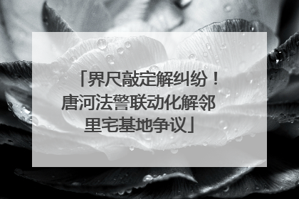 界尺敲定解纠纷！唐河法警联动化解邻里宅基地争议