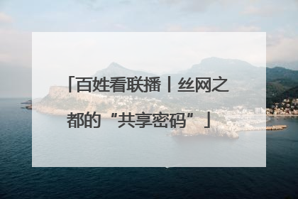 百姓看联播丨丝网之都的“共享密码”
