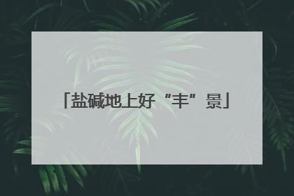 盐碱地上好“丰”景