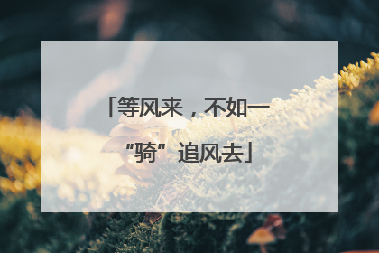 等风来，不如一“骑”追风去