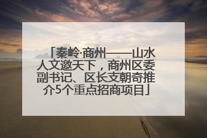 秦岭·商州——山水人文邀天下，商州区委副书记、区长支朝奇推介5个重点招商项目